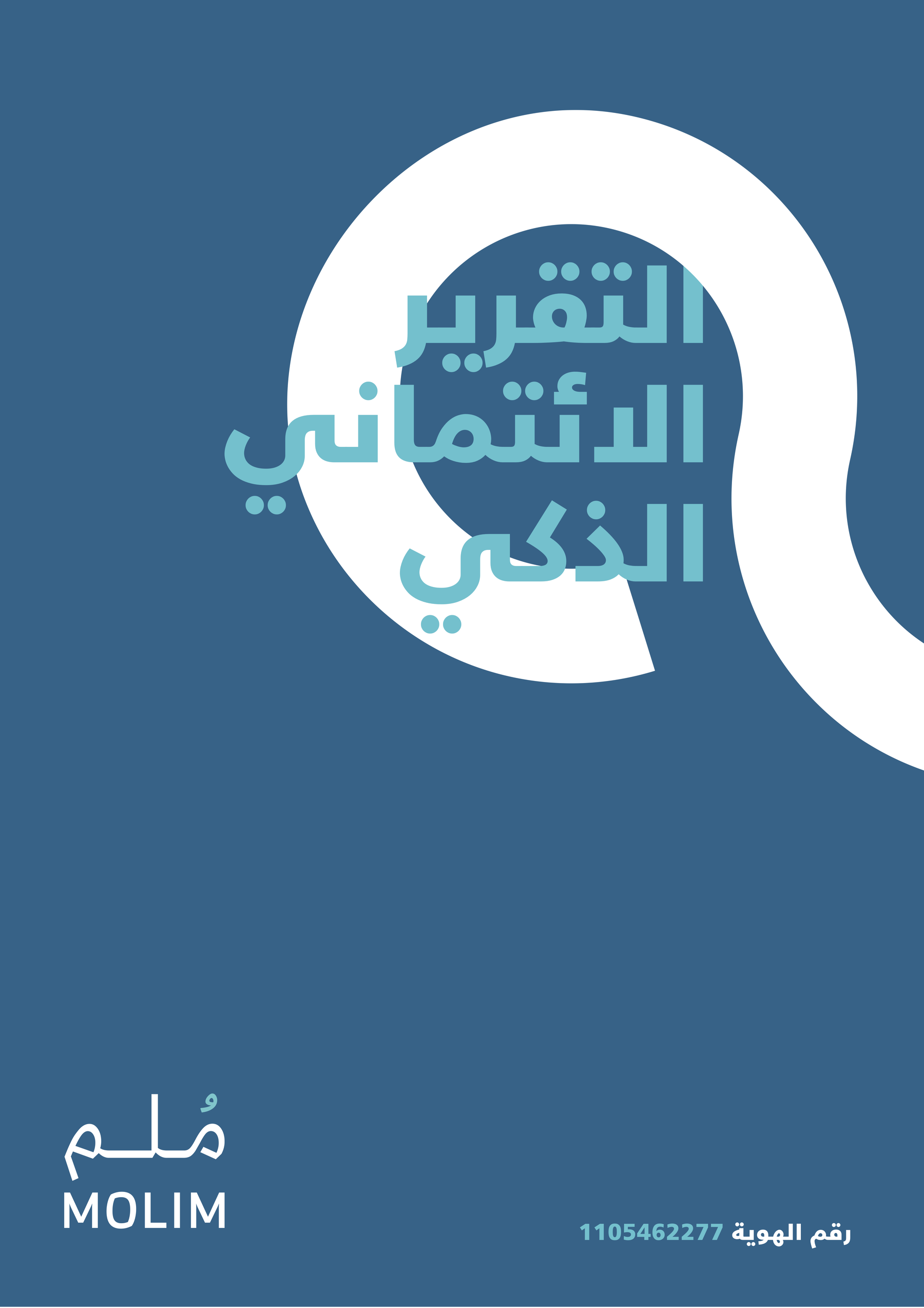 التقرير الائتماني الذي يظهر درجة 333
